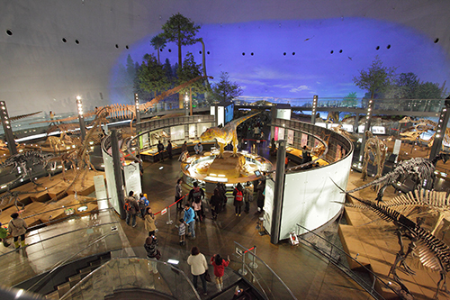 周辺観光 横倉鉱泉